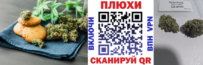 Canna-Cookies конопля Кущёвская