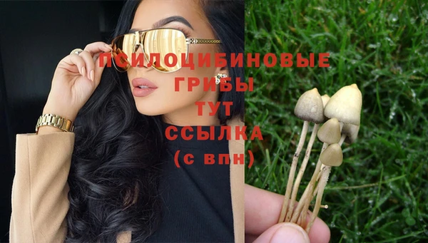эйфоретик Беломорск