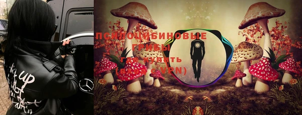 прущая мука Белокуриха