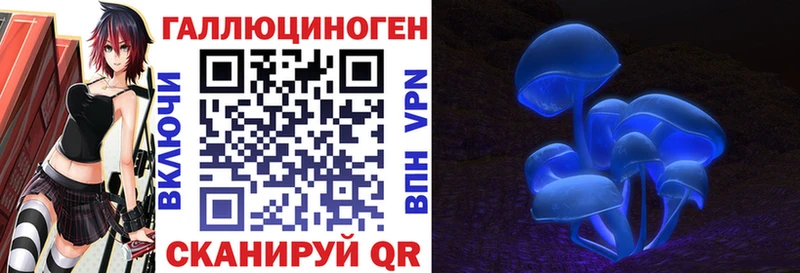 Галлюциногенные грибы Psilocybe  Кущёвская 