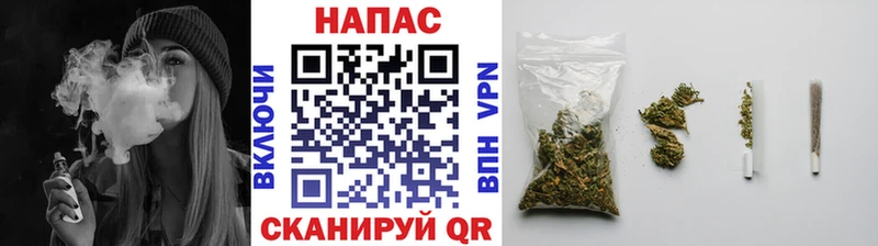 Каннабис OG Kush Кущёвская